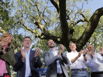 Pablo Casado en un acto del PP Pablo Casado en un acto del PP