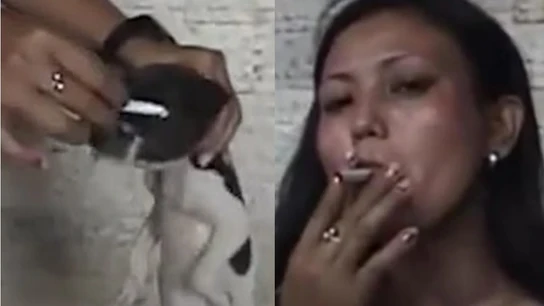 Una mujer maltrata a un cachorro Una mujer maltrata a un cachorro