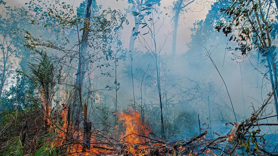 Incendio en la Amazonia