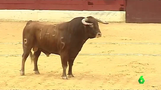 Polémica en la localidad alicantina de Villena: recupera los toros en plena fiesta de Moros y Cristianos Polémica en la localidad alicantina de Villena: recupera los toros en plena fiesta de Moros y Cristianos