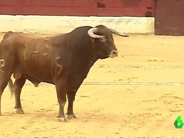 Polémica en la localidad alicantina de Villena: recupera los toros en plena fiesta de Moros y Cristianos Polémica en la localidad alicantina de Villena: recupera los toros en plena fiesta de Moros y Cristianos