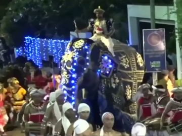 Un elefante sin control en un festival de Sri Lanka Un elefante sin control en un festival de Sri Lanka
