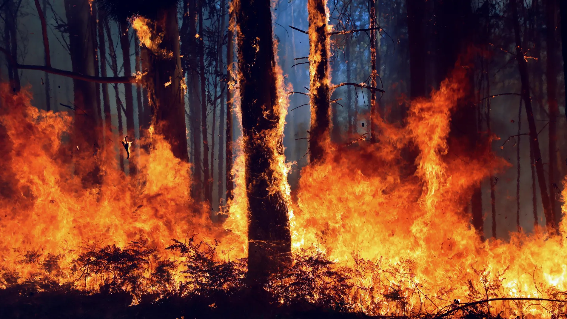 La aldea de A Carballosa, en Porto do Son ha sido afectada por un gran incendio forestal 