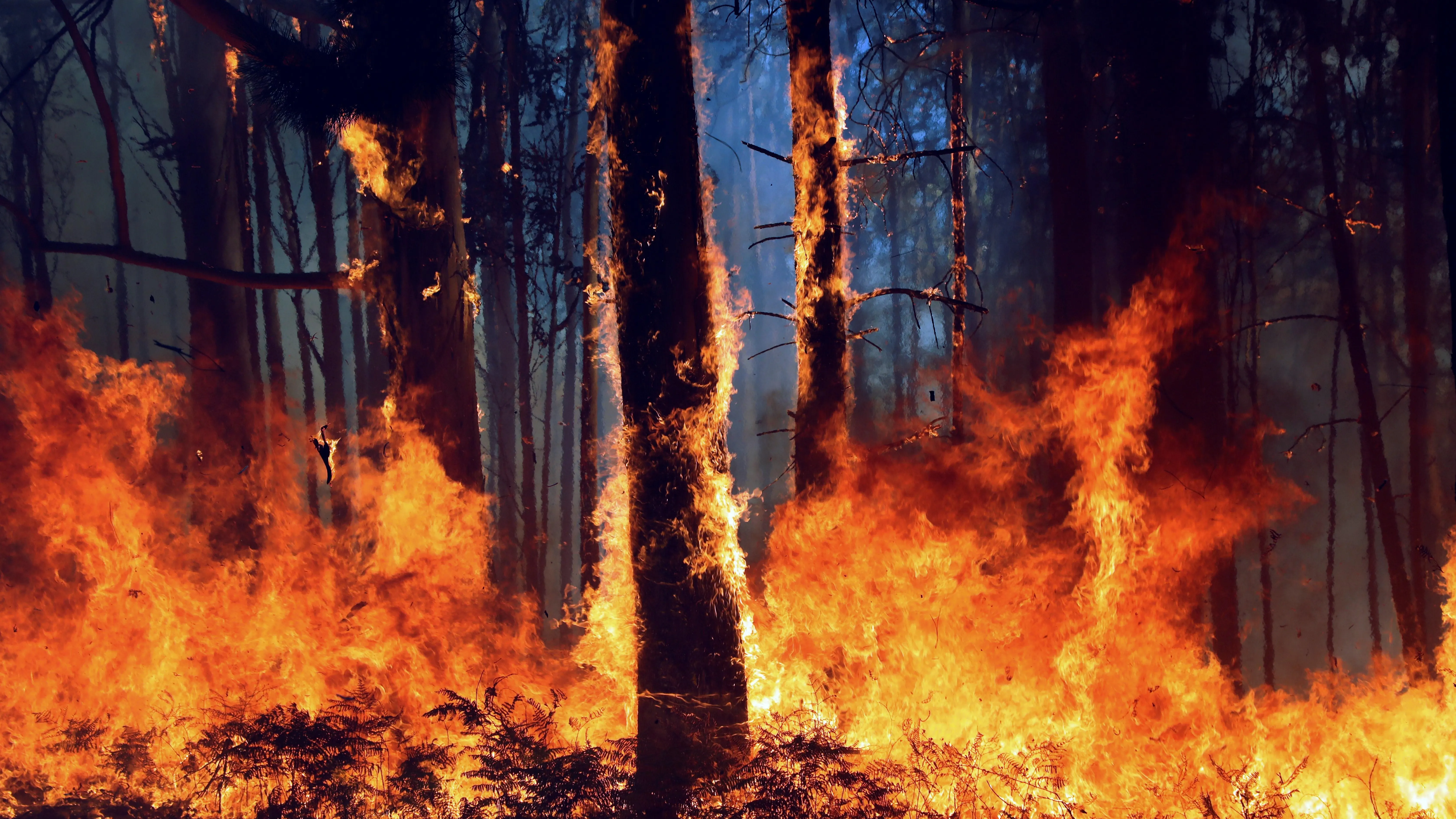 La aldea de A Carballosa, en Porto do Son ha sido afectada por un gran incendio forestal 