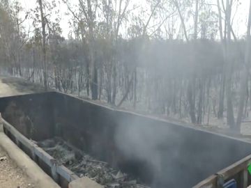 Estabilizado el incendio de Sevilla que obligó a desalojar a decenas de vecinos Estabilizado el incendio de Sevilla que obligó a desalojar a decenas de vecinos