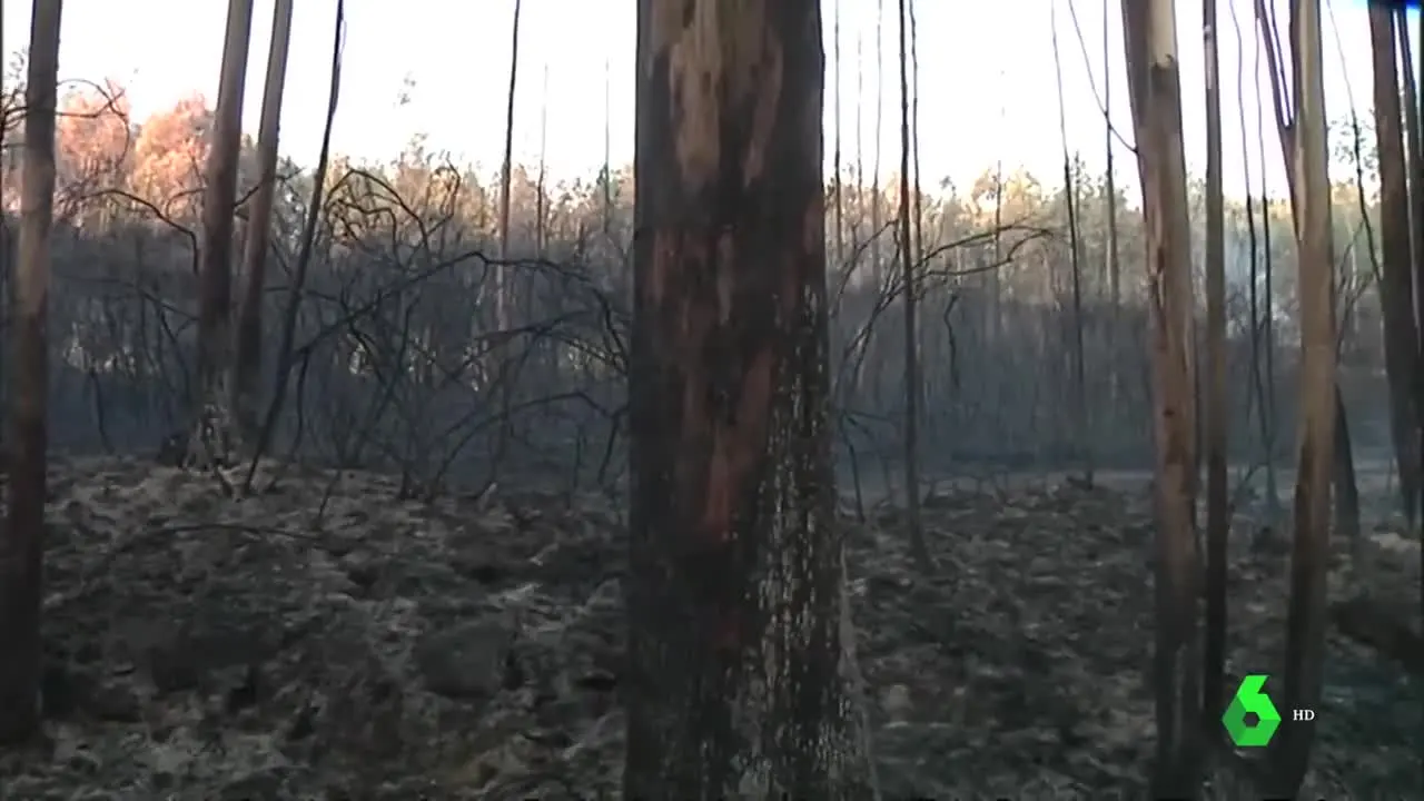 Incendio declarado en Culleredo 