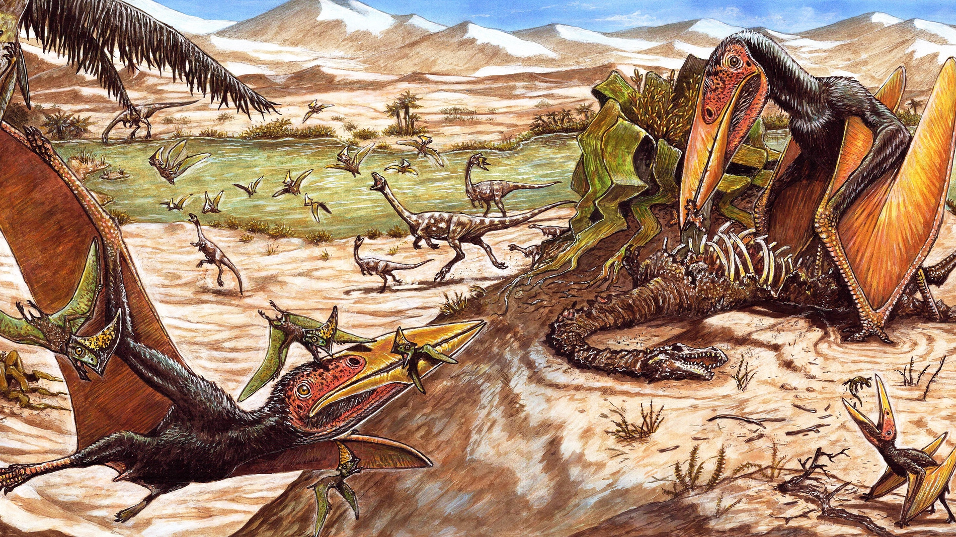 El espiritu de la muerte una nueva especie de pterosaurio de Brasil