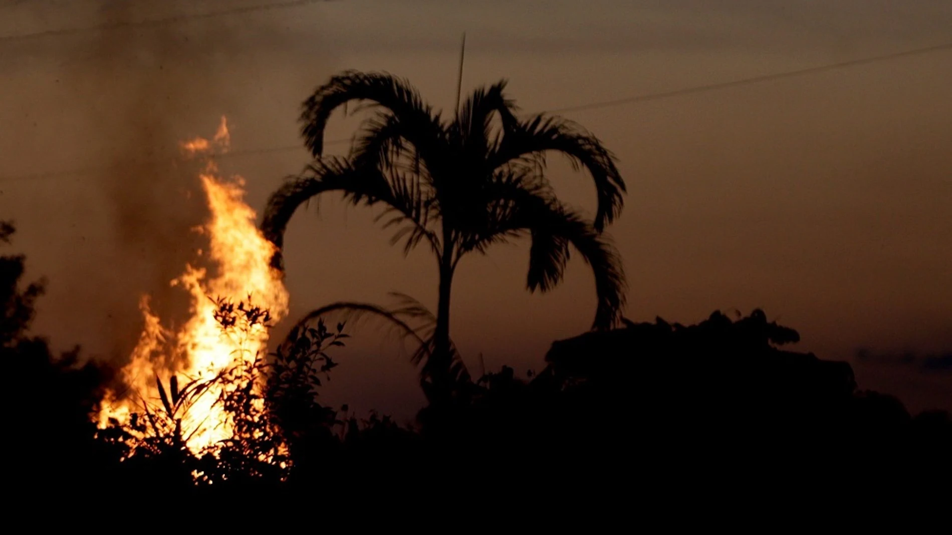 Incendio en la Amazonia brasileña