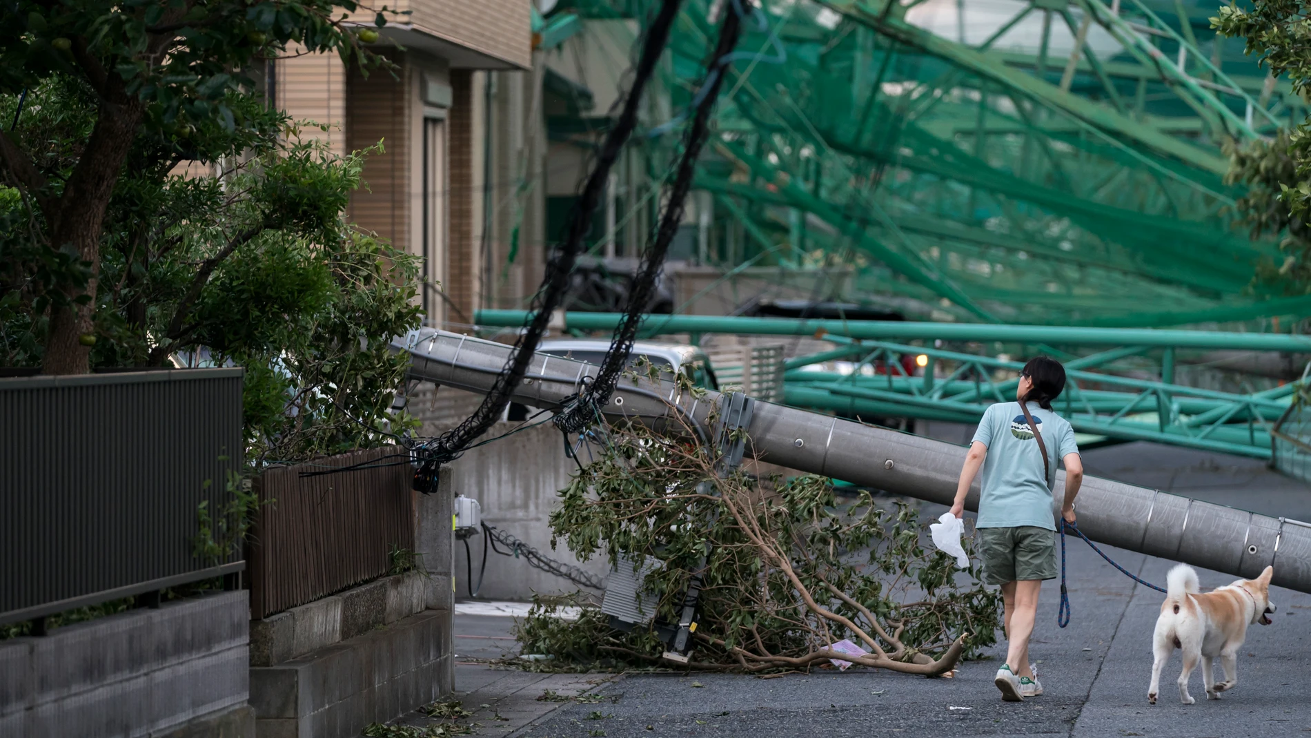 El tifón Faxai causa estragos en Japón
