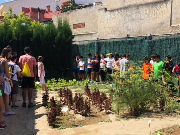 Huerto eclógico del CEIP Manuel Riquelme de Hurchillo, Orihuela (Alicante). Huerto eclógico del CEIP Manuel Riquelme de Hurchillo, Orihuela (Alicante).