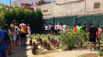 Huerto eclógico del CEIP Manuel Riquelme de Hurchillo, Orihuela (Alicante).