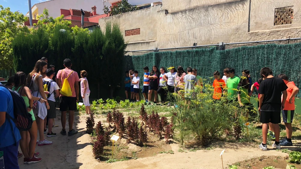 Huerto ecológico del colegio público de Hurchillo.