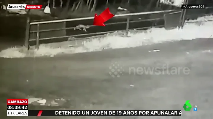 Una bebé cae de un coche y sus padres no se dan cuenta