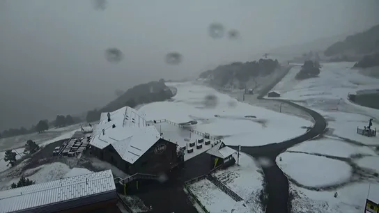 nieve nieve