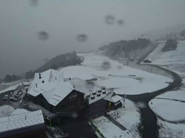 nieve nieve