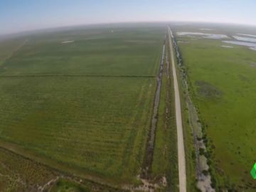 La construcción de una autovía para unir Cádiz y Huelva rodeando Doñana enfrenta a la Junta y los ecologistas La construcción de una autovía para unir Cádiz y Huelva rodeando Doñana enfrenta a la Junta y los ecologistas