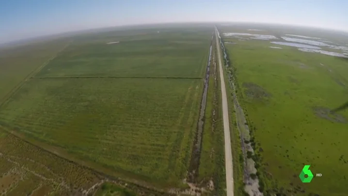 La construcción de una autovía para unir Cádiz y Huelva rodeando Doñana enfrenta a la Junta y los ecologistas