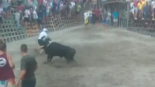 Dos heridos en la primera jornada taurina de Segorbe, uno de ellos grave Dos heridos en la primera jornada taurina de Segorbe, uno de ellos grave