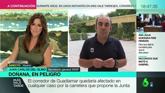 El portavoz de WWF, contra la construcción de una carretera que una Cádiz y Huelva: "Es un golpe mortal, un hachazo a Doñana" El portavoz de WWF, contra la construcción de una carretera que una Cádiz y Huelva: "Es un golpe mortal, un hachazo a Doñana"