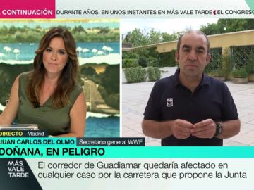 El portavoz de WWF, contra la construcción de una carretera que una Cádiz y Huelva: "Es un golpe mortal, un hachazo a Doñana" El portavoz de WWF, contra la construcción de una carretera que una Cádiz y Huelva: "Es un golpe mortal, un hachazo a Doñana"