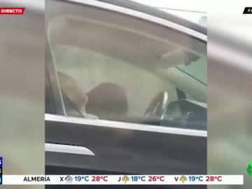 tesla tesla
