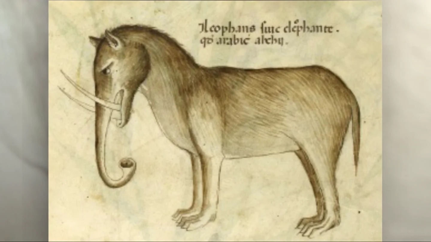 Elefantes con orejas de perro o cocodrilos convertidos en dragones: así imaginaban a los animales los artistas medievales Elefantes con orejas de perro o cocodrilos convertidos en dragones: así imaginaban a los animales los artistas medievales