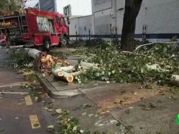 Destrozos en Mallorca a causa de la gota fría Destrozos en Mallorca a causa de la gota fría