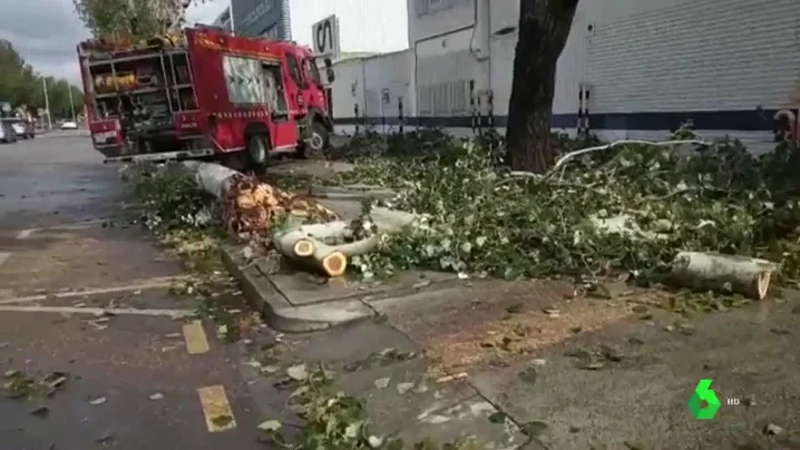 Destrozos en Mallorca a causa de la gota fría