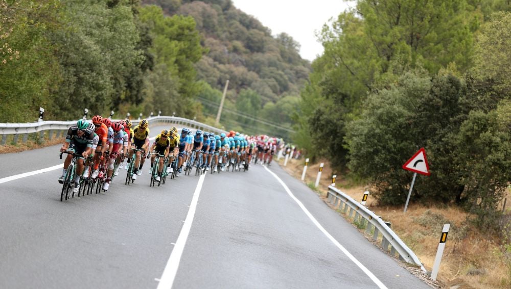 El pelotón de la Vuelta, durante la etapa 19