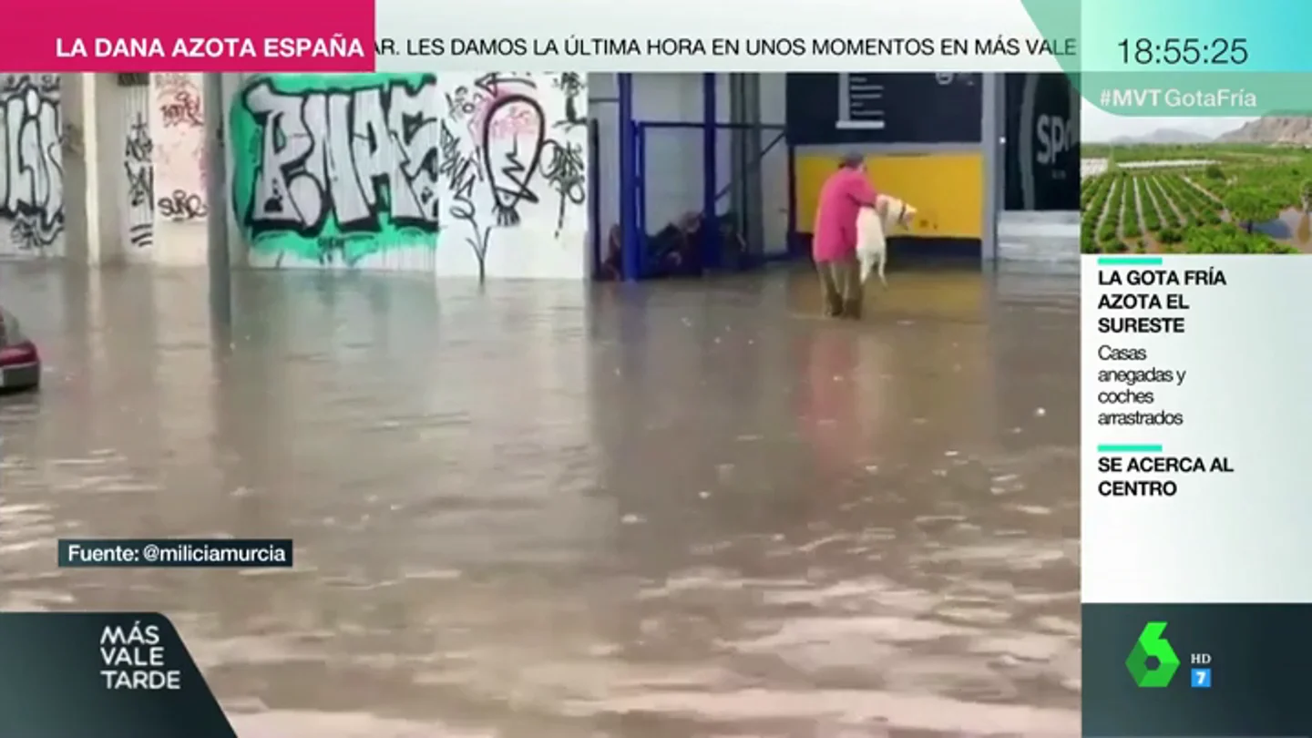 La solidaridad también llega con la gota fría: las imágenes que muestran la mejor cara del temporal La solidaridad también llega con la gota fría: las imágenes que muestran la mejor cara del temporal