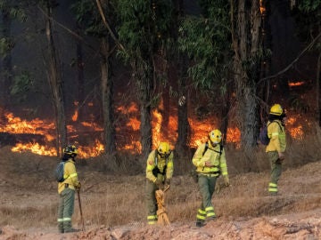 Incendio en Paterna del Campo, en Huelva Incendio en Paterna del Campo, en Huelva