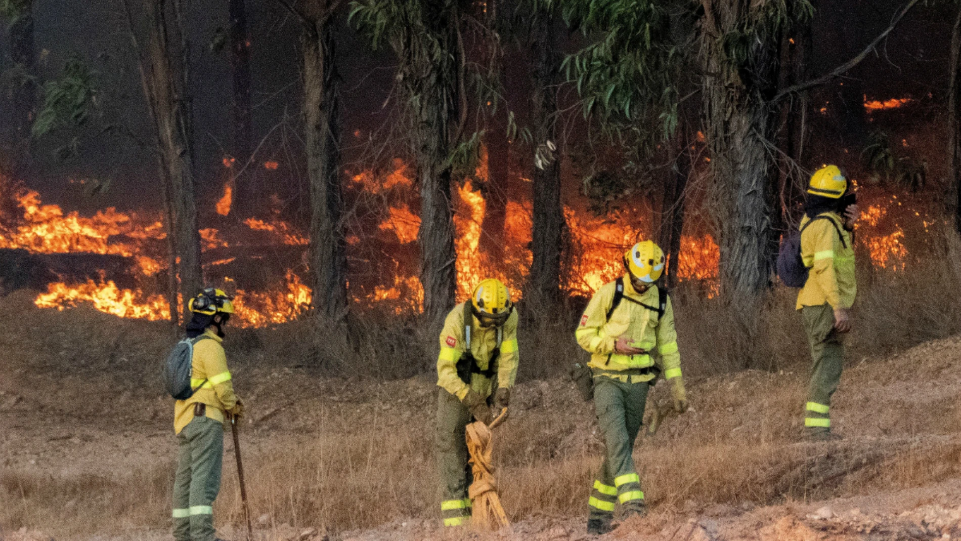 Incendio en Paterna del Campo, en Huelva