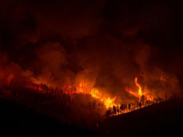 Incendio en A Gudiña, en Ourense Incendio en A Gudiña, en Ourense