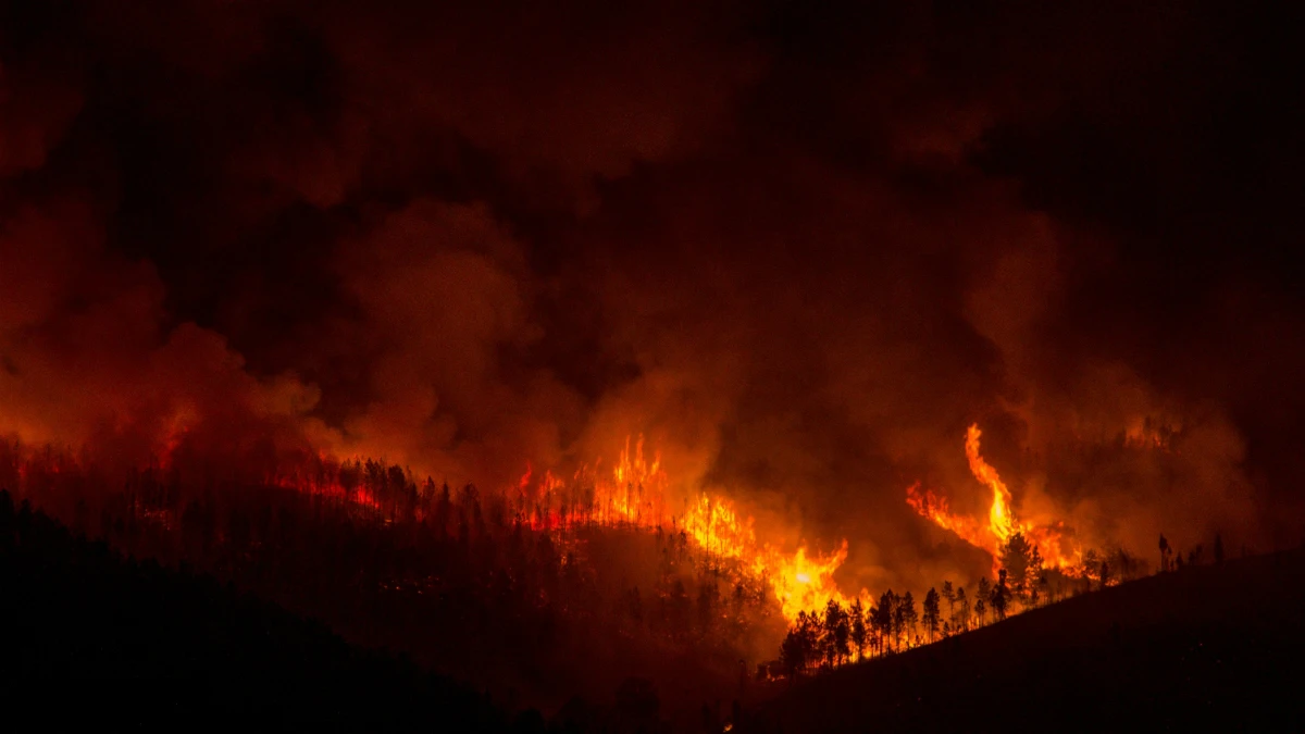 Incendio en A Gudiña, en Ourense