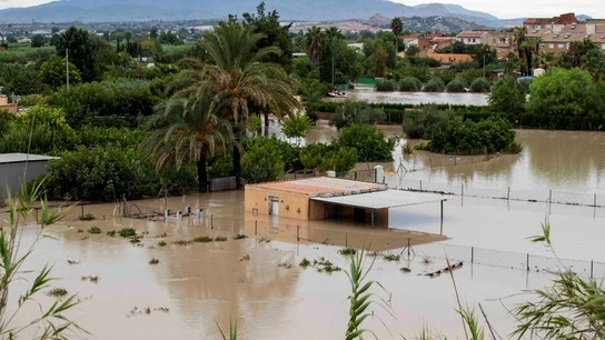 El río Segura, desbordado El río Segura, desbordado