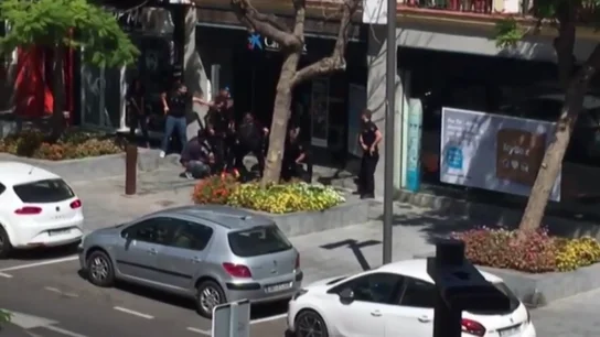 Detención a dos trabajadores en Estepona Detención a dos trabajadores en Estepona