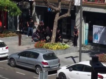Detención a dos trabajadores en Estepona Detención a dos trabajadores en Estepona