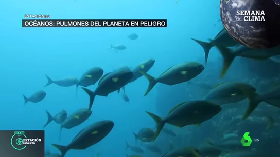 Océanos Océanos
