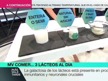 ¿Son importantes los lácteos? Desmontamos los mitos sobre la leche y sus derivados ¿Son importantes los lácteos? Desmontamos los mitos sobre la leche y sus derivados