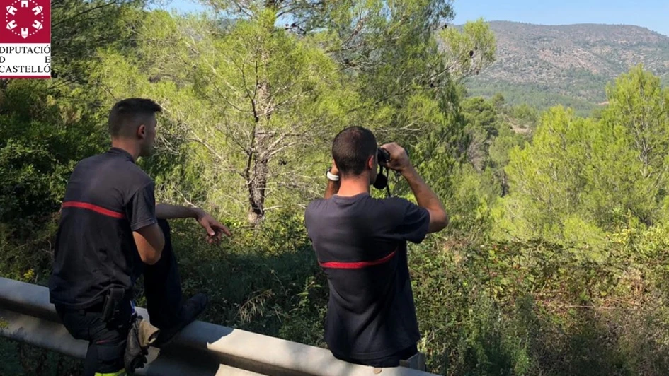 Bomberos en el servicio de búsqueda de los dos toros que se han escapado de una ganadería