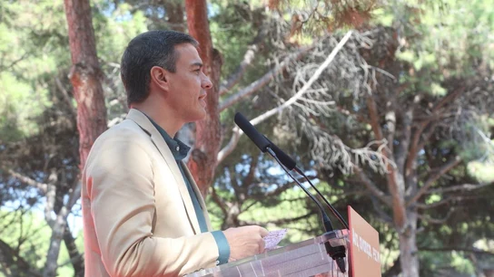 Pedro Sánchez durante el acto en Gavà Pedro Sánchez durante el acto en Gavà