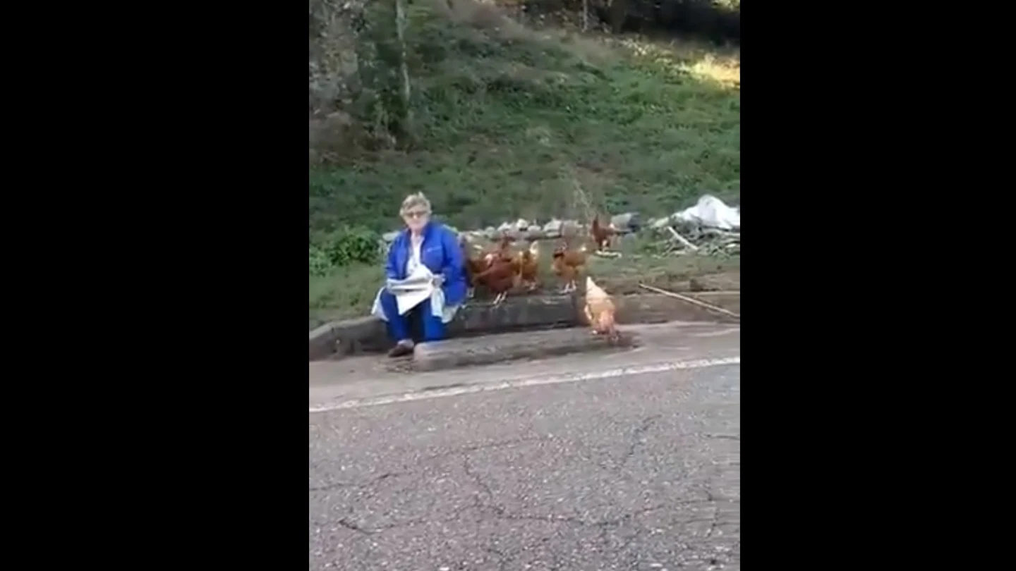 El vídeo en el que una señora responde a un chico que asegura que los gallos "violan" a las gallinas se ha hecho viral en redes sociales. El vídeo en el que una señora responde a un chico que asegura que los gallos "violan" a las gallinas se ha hecho viral en redes sociales.