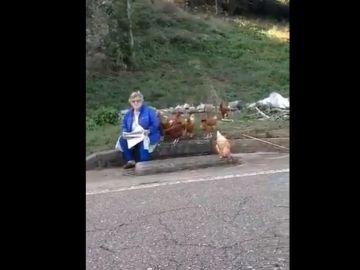 El vídeo en el que una señora responde a un chico que asegura que los gallos &quot;violan&quot; a las gallinas se ha hecho viral en redes sociales.
