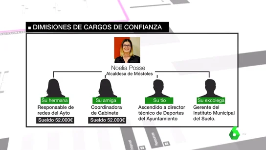 Dimisiones de cargos de confianza de Noelia Posse Dimisiones de cargos de confianza de Noelia Posse