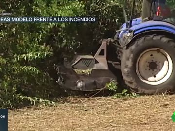Limpieza y agricultura: los ingredientes de una aldea modelo frente a los incendios Limpieza y agricultura: los ingredientes de una aldea modelo frente a los incendios