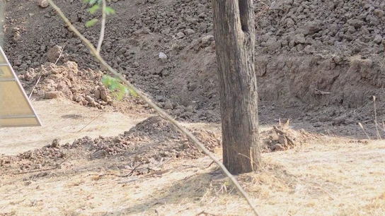 ¿Dónde está el leopardo? ¿Dónde está el leopardo?