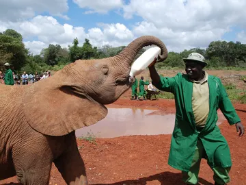Nairobi Nairobi