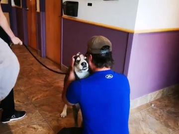 La intrahistoria del emotivo reencuentro entre un hombre y su perro cuatro años después de perderlo La intrahistoria del emotivo reencuentro entre un hombre y su perro cuatro años después de perderlo