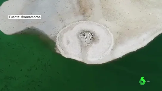 El agua volverá a cubrir el dolmen de Guadalperal tras salir a la superficie por la sequía El agua volverá a cubrir el dolmen de Guadalperal tras salir a la superficie por la sequía