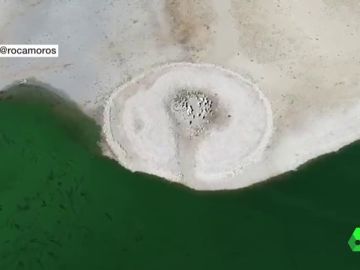 El agua volverá a cubrir el dolmen de Guadalperal tras salir a la superficie por la sequía El agua volverá a cubrir el dolmen de Guadalperal tras salir a la superficie por la sequía